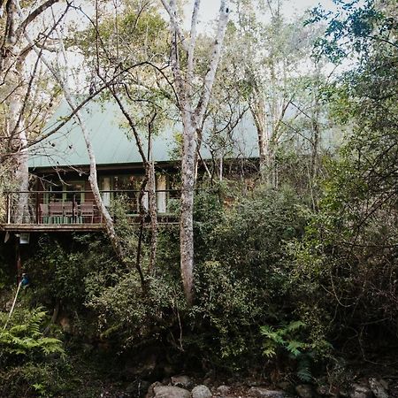 Rockwood Karkloof Forest Lodge & Mountain Cabin Yarrow Eksteriør bilde