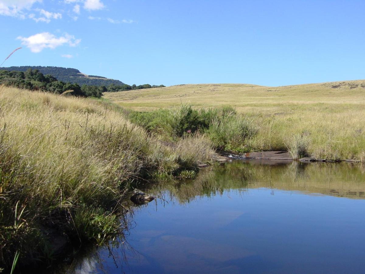 Rockwood Karkloof Forest Lodge & Mountain Cabin Yarrow Eksteriør bilde