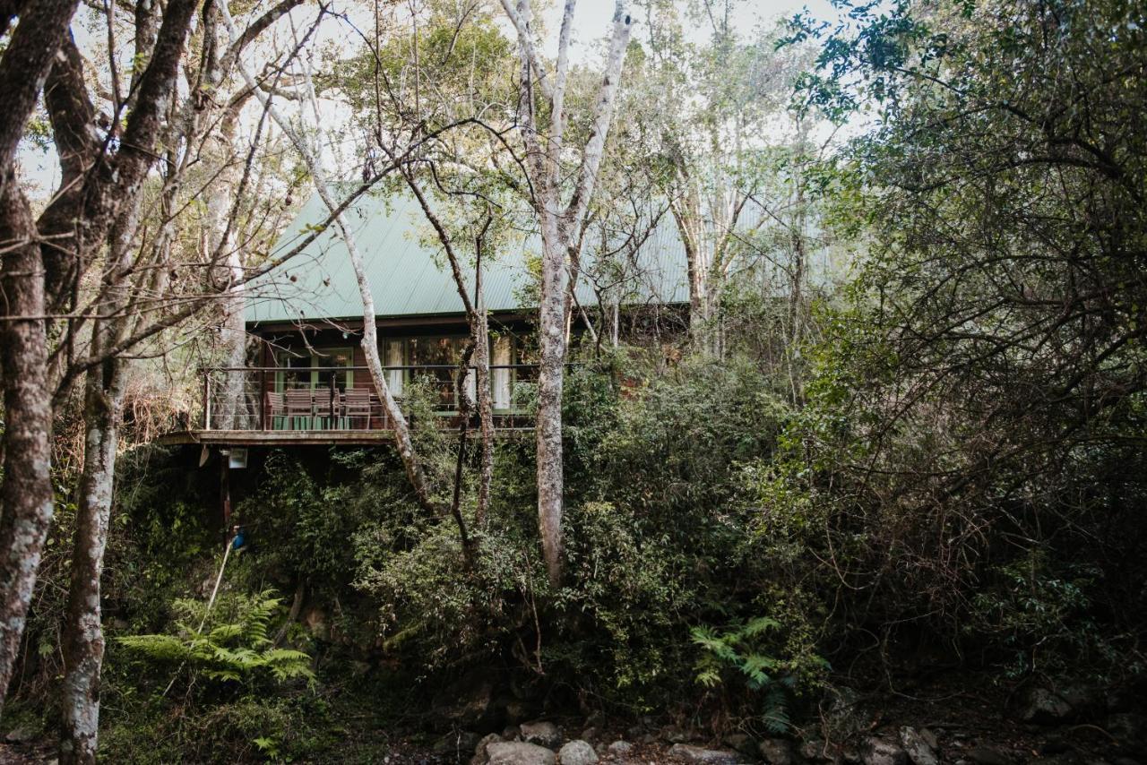 Rockwood Karkloof Forest Lodge & Mountain Cabin Yarrow Eksteriør bilde